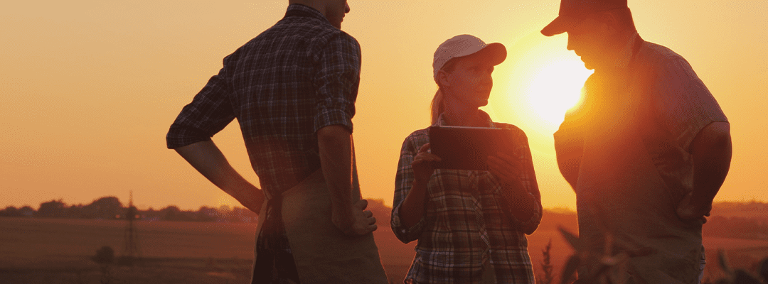 Grower engagement during harvest