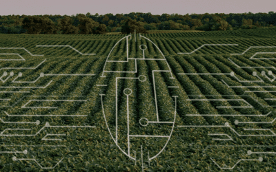 Sentera Brings AI to the Field to Advance Agronomic Data 