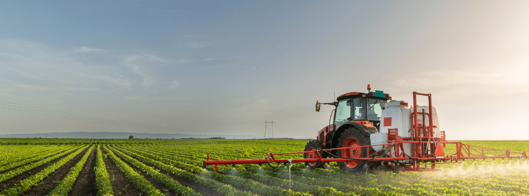 Spraying weeds in the field