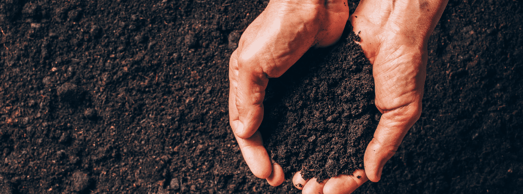 Carbon Farming Healthy Soil