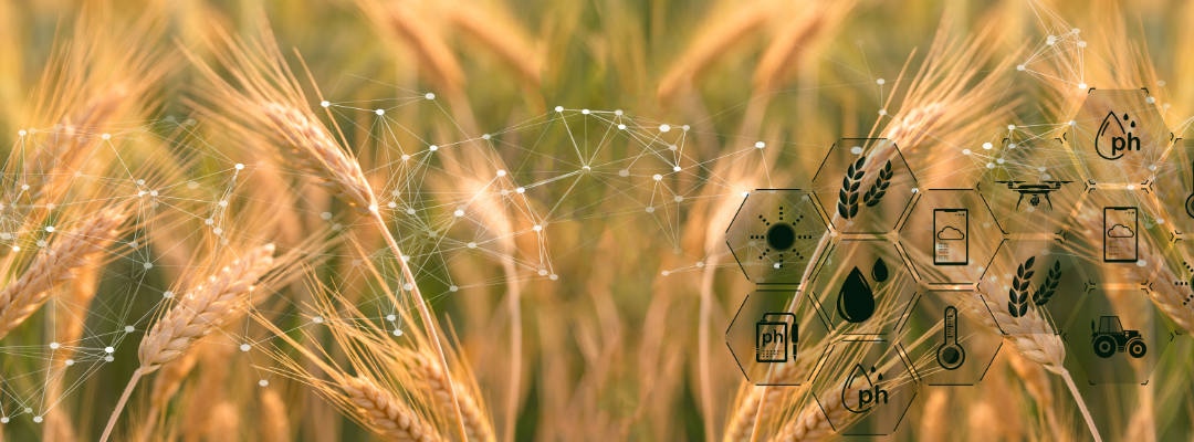 Roadmap for the Upcoming Season: Using Data Analytics in Agriculture