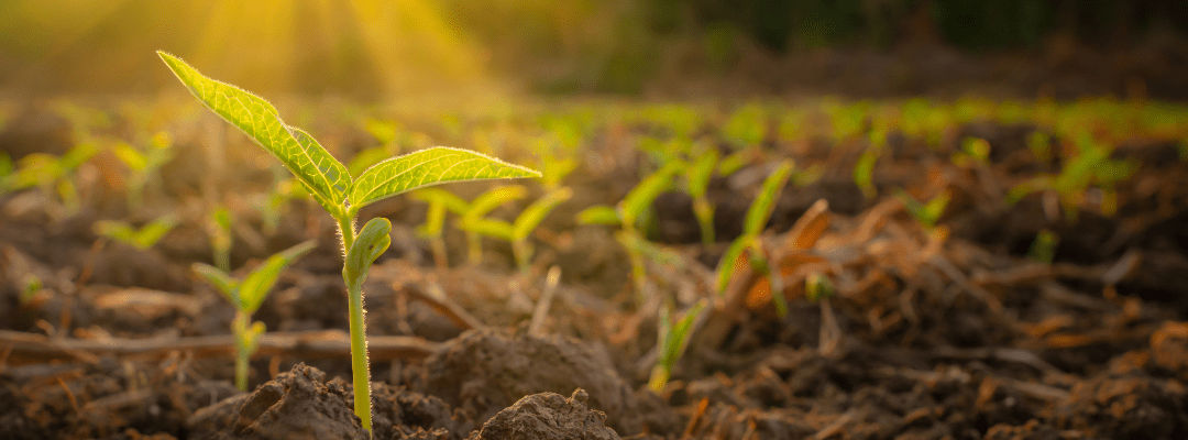 What is the role of remote sensing in developing new products for soil fertility?