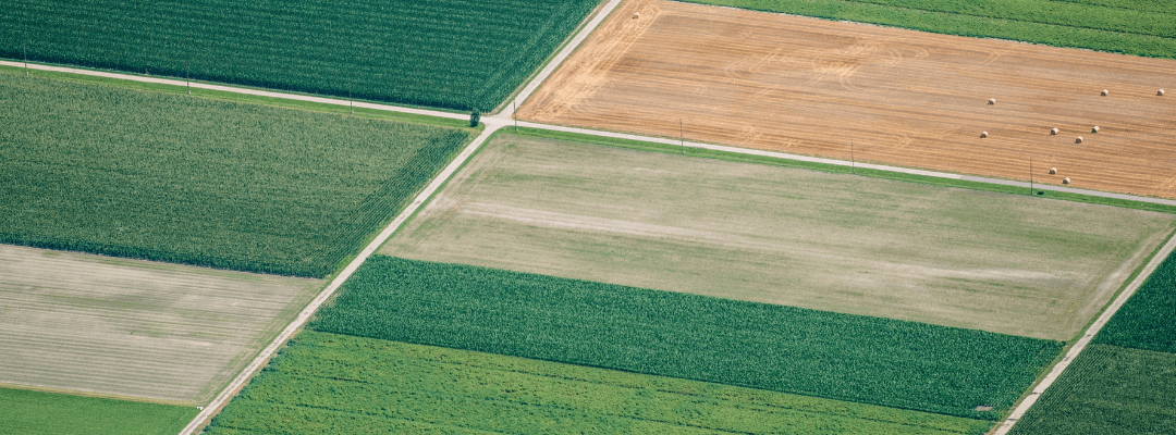 Crop Area insights can help detect field boundaries to help with crop production.