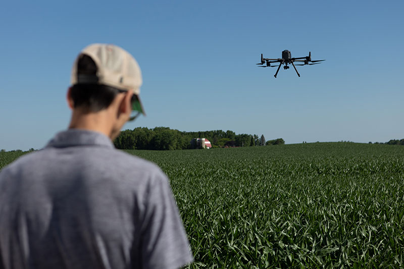 Drone pilot navigating drone over row crop field for Aerial WeedScout analysis