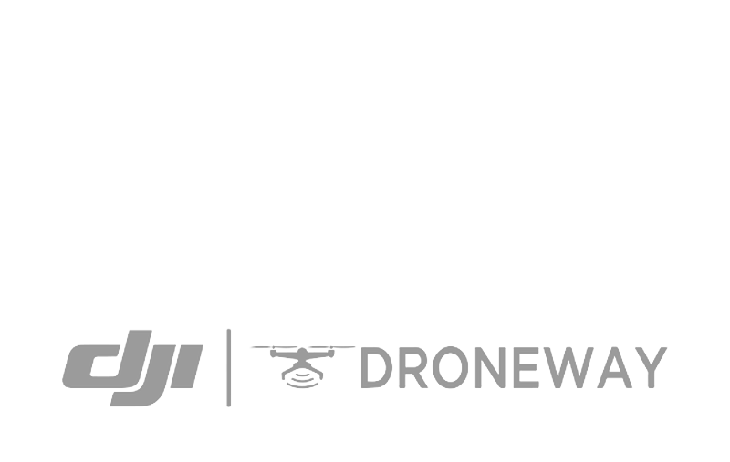Droneway Droneway Logo